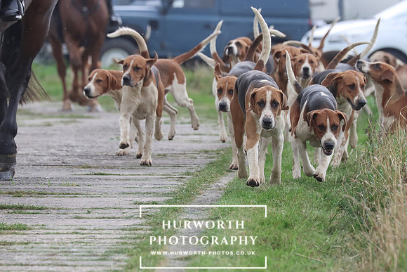 Hurowth Hunt 31