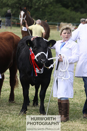 2013 Osmotherley Show 210