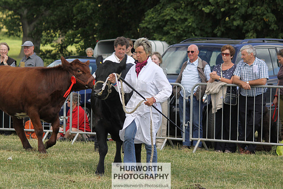 2013 Osmotherley Show 197