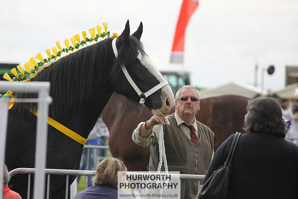 North Yorkshire County Show 121