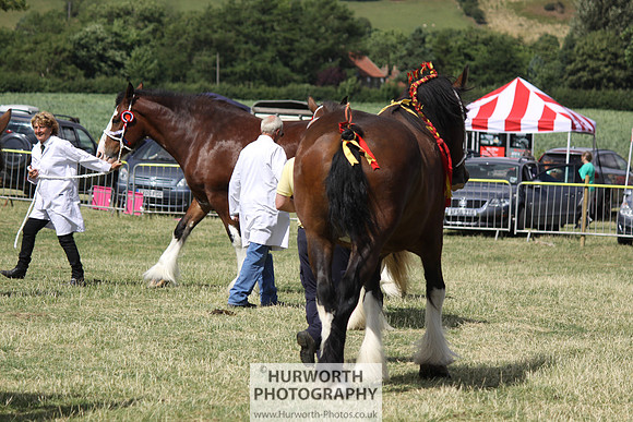 2013 Osmotherley Show 180