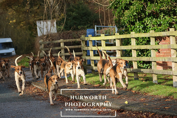 Hurworth Hunt  171