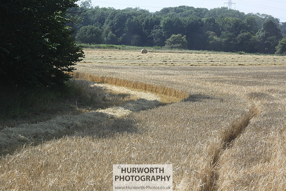 Countryside 052