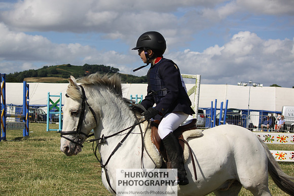 2013 Osmotherley Show 304