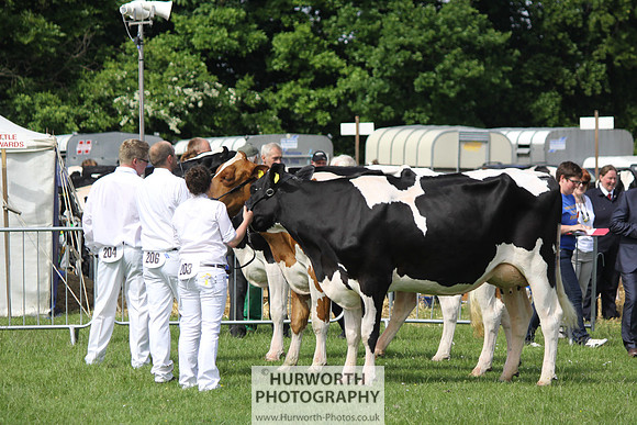 North Yorkshire County Show 036