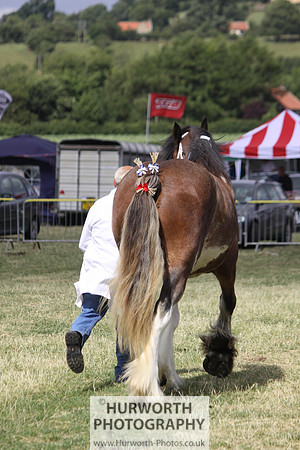 2013 Osmotherley Show 091