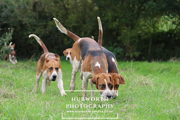 Hurworth Hunt 10