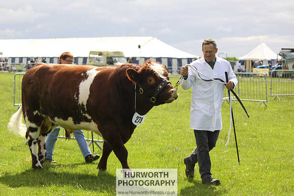 North Yorkshire County Show 055