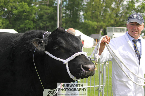 North Yorkshire County Show 047
