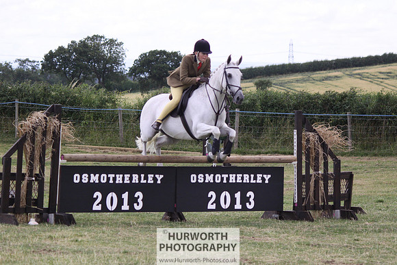 2013 Osmotherley Show 119