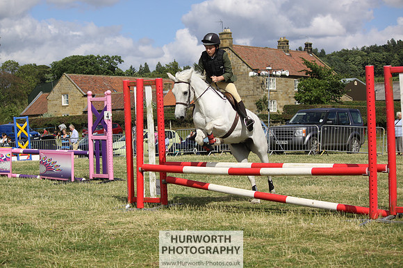 2013 Osmotherley Show 284
