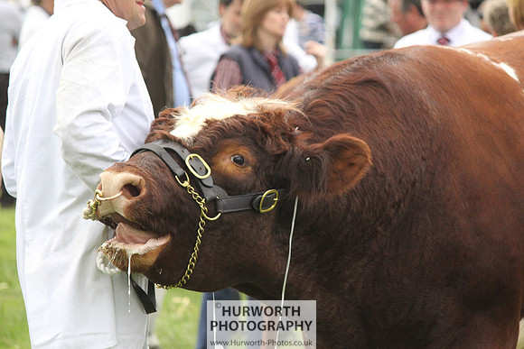 North Yorkshire County Show 133