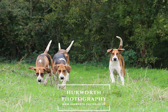 Hurworth Hunt 1