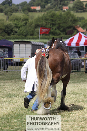 2013 Osmotherley Show 092