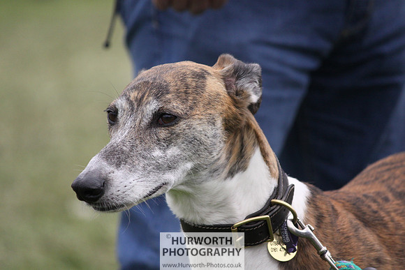 North Yorkshire County Show 103