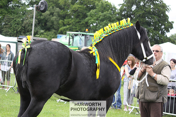 North Yorkshire County Show 104