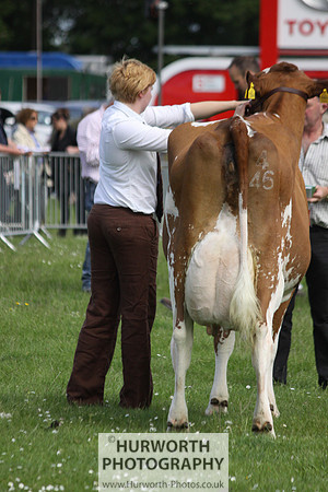 North Yorkshire County Show 040