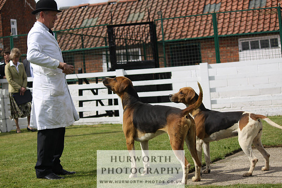 Hurworth Hunt Puppy Show 114