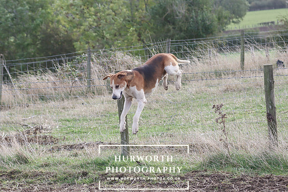 Hurowth Hunt 97