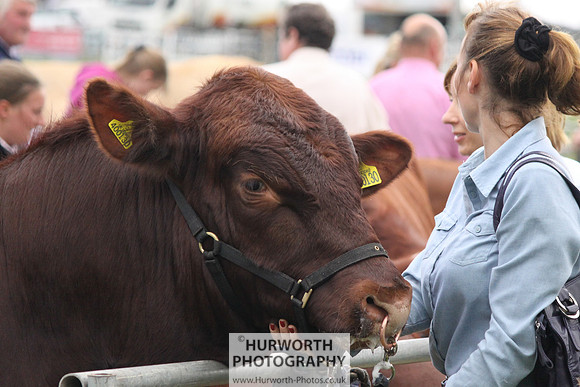 North Yorkshire County Show 018