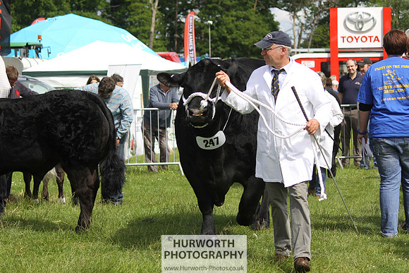 North Yorkshire County Show 045