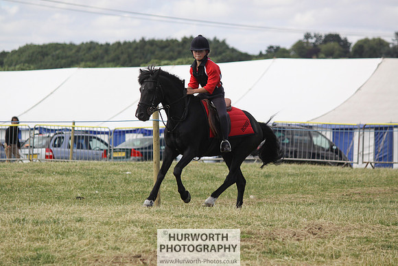 2013 Osmotherley Show 277