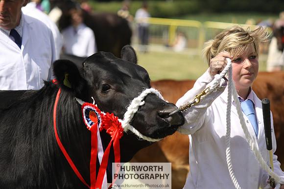 2013 Osmotherley Show 219