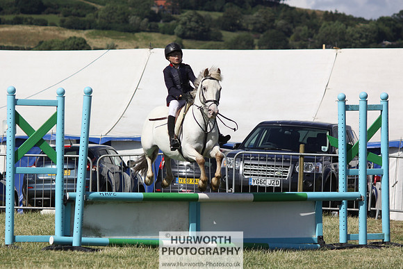 2013 Osmotherley Show 305