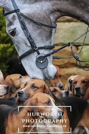 Hurworth Hunt 031