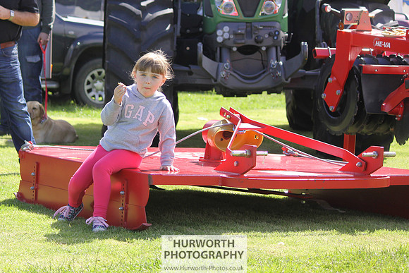 North Yorkshire County Show 024