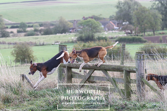 Hurowth Hunt 78