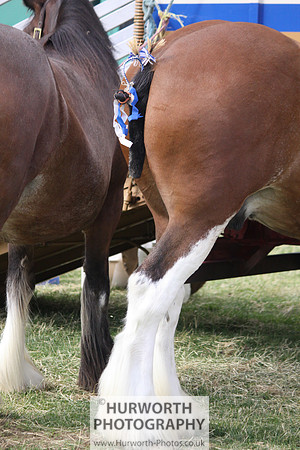 2013 Osmotherley Show 009