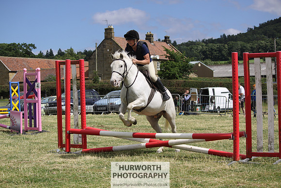 2013 Osmotherley Show 064