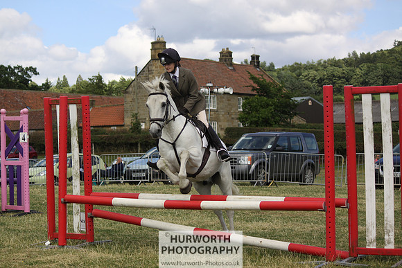 2013 Osmotherley Show 283
