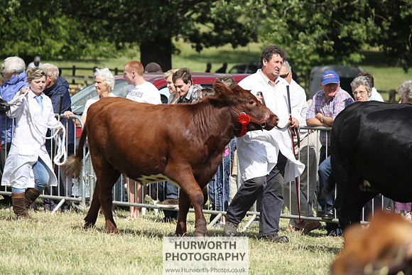 2013 Osmotherley Show 194