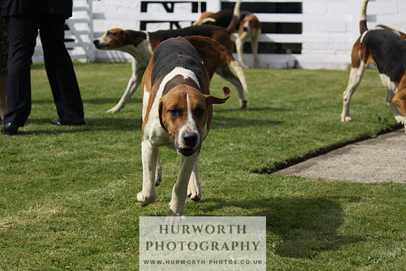 Hurworth Hunt Puppy Show 124