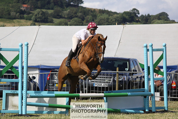 2013 Osmotherley Show 317