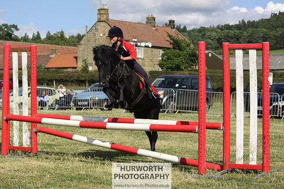 2013 Osmotherley Show 299