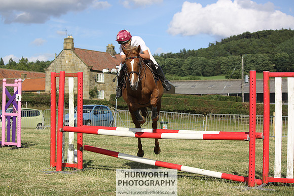 2013 Osmotherley Show 387