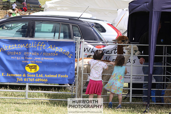 2013 Osmotherley Show 127