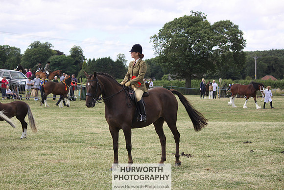2013 Osmotherley Show 246