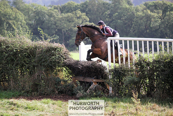 Hurworth Bilsdale Hedge Hop 554