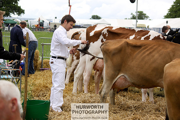 North Yorkshire County Show 015