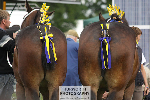 North Yorkshire County Show 141