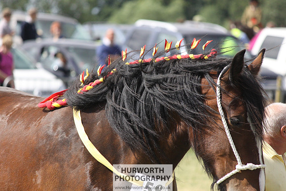 2013 Osmotherley Show 177