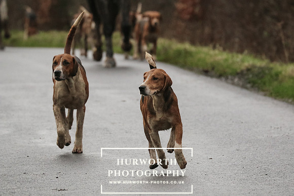 Hurworth Hunt 193