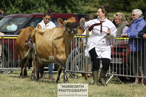 2013 Osmotherley Show 182