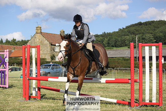 2013 Osmotherley Show 376