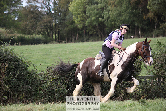 Hurworth Bilsdale Hedge Hop 649