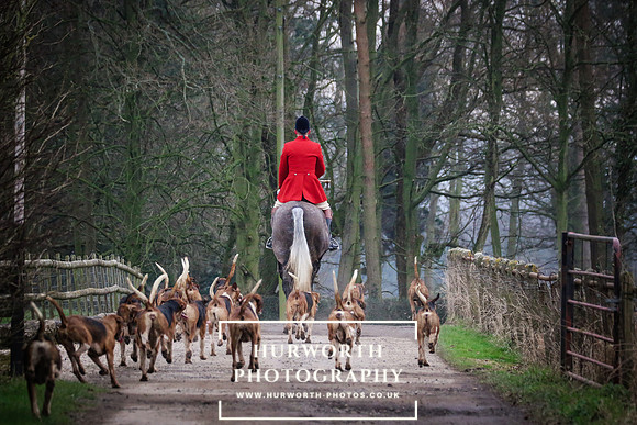 Hurworth Hunt 377